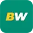 BetWinner лого